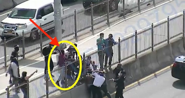 BLM Protesters Caught On Video Allegedly Accepting Shipment of Baseball Bats For “Stop the Violence” Protest On Brooklyn Bridge Where NYPD Officers Were Beaten With Bats